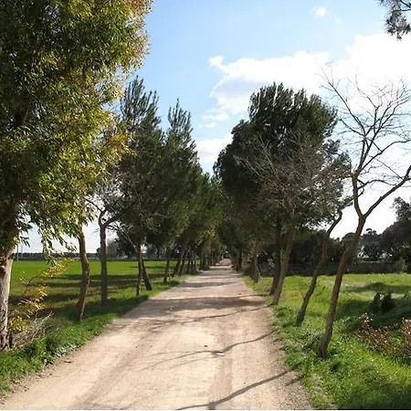 بيت للعطل La Casa Del Massaro أوريا